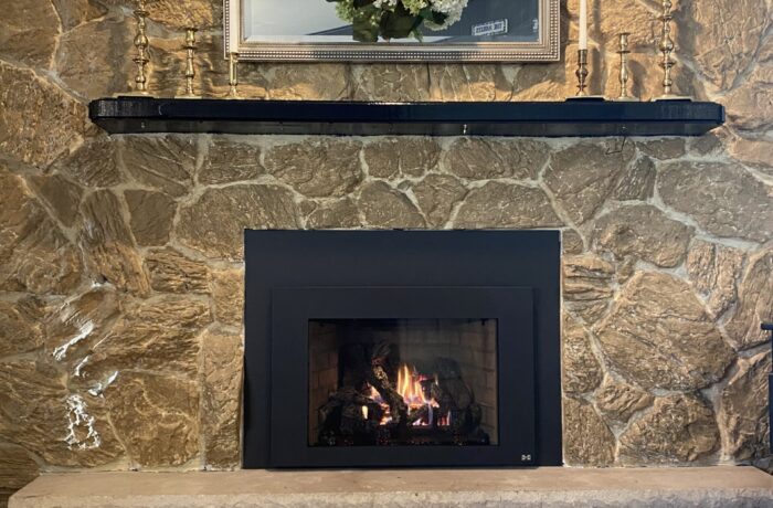 FPX 430 Gas Insert