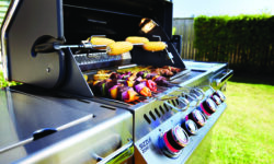 Choosing the Right Grill for your Backyard